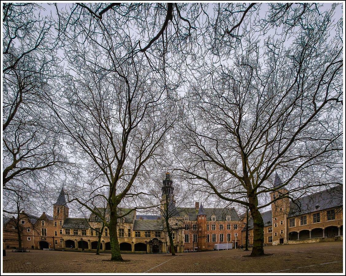 Abeelboom B And B Middelburg Bagian luar foto